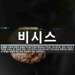 비시스 뜻