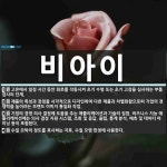 (주)비아이에스컴퍼니 | 비아이 뜻: 고온에서 일정 시간 동안 회로를 작동시켜 초기 수명 또는 초기 고장을 심사하는 부품 검사의 [국어 사전]
