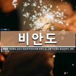 비안도 뜻