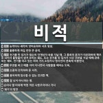 비적 뜻