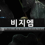 비지엠 뜻