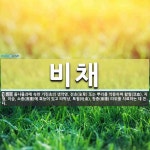 비채 뜻