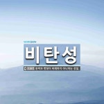 비탄성 뜻