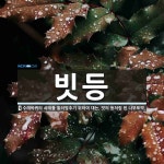 빗등 뜻: 수레바퀴의 쇠테를 둘러맞추기 위하여 대는, 빗의 등처럼 된 나무토막.