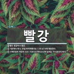 먼셀 표색계에서는 7.5R 4/14에 해당한다., [국어 사전] 빨강 뜻: 빨간 빛깔이나 물감., 기본색의 하나. 먼셀 표색계에서는 7.5R 4/14에 해당한다.... 