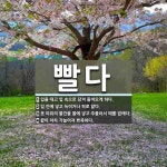 빨다 뜻: 입을 대고 입 속으로 당겨 들어오게 하다., 입 안에 넣고 녹이거나 혀로 핥다., 옷 따위 [국어 사전]