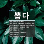 뽑다 뜻: 박힌 것을 잡아당기어 빼내다., 속에 들어 있는 기체나 액체를 밖으로 나오게 하다., 무엇 [국어 사전]