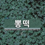 뽕떡 뜻