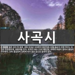 사곡시 뜻