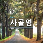 사골염 뜻: 사골에 생기는 염증.