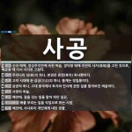 사공 뜻: 신라 때에, 경성주작전에 속한 벼슬. 경덕왕 때에 이전의 사지(舍知)를 고친 것으로, 혜공 [국어 사전]