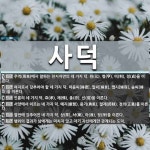 사덕 뜻: 주역(周易)에서 말하는 천지자연의 네 가지 덕. 원(元), 형(亨), 이(利), 정(貞)을 [국어 사전]