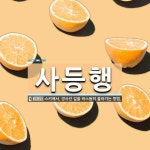 사등행 뜻: 스키에서, 경사진 길을 비스듬히 올라가는 방법.