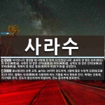 사라수 뜻