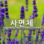 사면체 뜻
