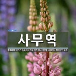 사무역 뜻