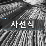 사선식 뜻: 송신과 수신의 두 방향 전송에 각각 별개의 이선식 선로를 사용하는 방식.