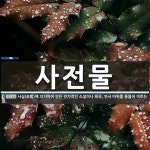 사전물 뜻: 사실(史實)에 의거하여 만든 전기적인 소설이나 희곡, 연극 따위를 통틀어 이르는 말.