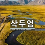 삭두엄 뜻: 다 삭은 두엄. 보드랍고 두엄 성분이 많다.