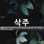 삭주 뜻: 평안북도 삭주군에 있는 면. 쌀, 콩, 담배 따위의 농산물과 축산ㆍ공산ㆍ광산물의 집산지이다