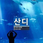 주식회사 산대들 | 산디 뜻: ‘산대’의 변한말., ‘산도’의 방언 [국어 사전]