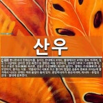 산우 뜻: 뽕나뭇과의 한해살이풀. 높이는 온대에서 3미터, 열대에서는 6미터 정도 자라며, 잎은 5~ [국어 사전]