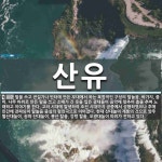 산유 뜻: 탈을 쓰고 큰길가나 빈터에 만든 무대에서 하는 복합적인 구성의 탈놀음. 바가지, 종이, 나 [국어 사전]