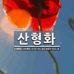 산형화 뜻: 산형(繖形) 화서로 피는 꽃을 통틀어 이르는 말.