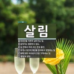 살림 뜻: 한집안을 이루어 살아가는 일., 살아가는 형편이나 정도., 집 안에서 주로 쓰는 온갖 물건 [국어 사전]