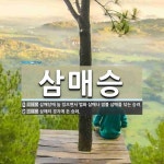 삼매승 뜻: 삼매당에 늘 있으면서 법화 삼매나 염불 삼매를 닦는 승려., 삼매의 경지에 든 승려. [국어 사전]
