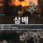 삼배 뜻