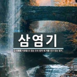 삼염기 뜻: 치환할 수 있는 수소 원자 세 개를 갖고 있는 염기.