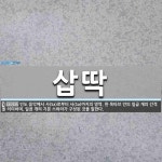 삽딱 뜻: 인도 음악에서 사(Sa)로부터 사(Sa)까지의 영역. 한 옥타브 안의 일곱 개의 간격을 의