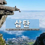 삽탄 뜻