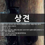 상견 뜻: 자기보다 윗자리의 사람. 선배 또는 법계(法階)가 위인 사람을 이르는 말이다., 품질이 상 [국어 사전]