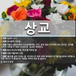 상교 뜻: 임금의 지시., 윗사람의 가르침., 대종교 총본사에서 시선(試選)하는 교직. 공이 있는 신 [국어 사전]