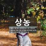 상농 뜻: 농사를 매우 크게 짓는 농부. 또는 그런 농가., 매우 어렵고 힘든 농사일을 쉽게 해내는 [국어 사전] 상농 뜻: 농사를 매우 크게 짓는 농부.... 