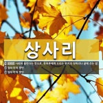 상사리 뜻: 사뢰어 올린다는 뜻으로, 웃어른에게 드리는 편지의 첫머리나 끝에 쓰는 말., ‘참도미’의 [국어 사전] 상사리 뜻: 사뢰어 올린다는... 