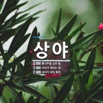 상야 뜻: 뽕나무를 심은 들., 서리가 내리는 밤., 서리가 내린 들판. [국어 사전]