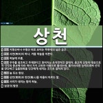 상천 뜻: 지평선이나 수평선 위로 보이는 무한대의 넓은 공간., 사천(四天)의 하나. 겨울 하늘을 이 [국어 사전]