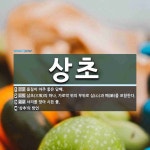상초 뜻: 품질이 아주 좋은 담배., 삼초(三焦)의 하나. 가로막 위의 부위로 심(心)과 폐(肺)를 [국어 사전] 상초 뜻: 품질이 아주 좋은 담배., 삼초... 