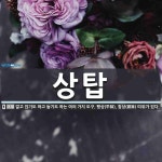 상탑 뜻