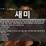 새미 뜻