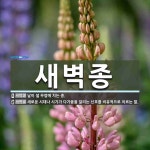 새벽종 뜻