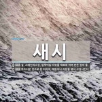 새시 뜻