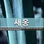 새옹 뜻: 놋쇠로 만든 작은 솥. 배가 부르지 아니하고 바닥이 편평하며 전과 뚜껑이 있다. 흔히 밥을