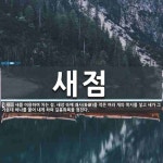 새점 뜻