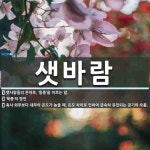 샛바람 뜻: 뱃사람들의 은어로, ‘동풍’을 이르는 말., ‘북풍’의 방언, 축사 외부보다 내부의 온도가 [국어 사전]
