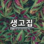 생고집 뜻