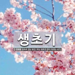 생초기 뜻: 생초로 있는 동안. 또는 생초가 많이 자라는 시기.
